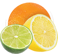Citrus Fresh